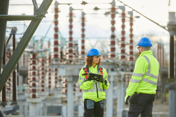 Best Electric Panel Repair  in Palatine, IL