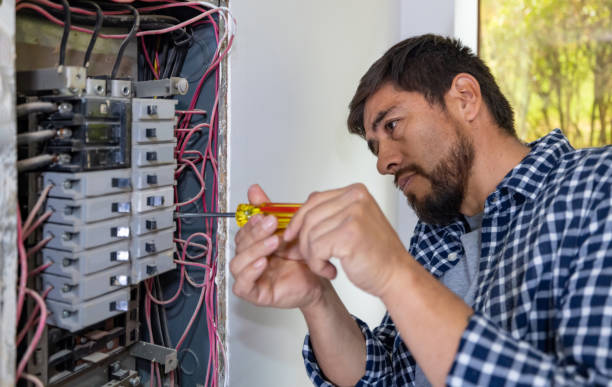 Best Local Electrician Companies  in Palatine, IL